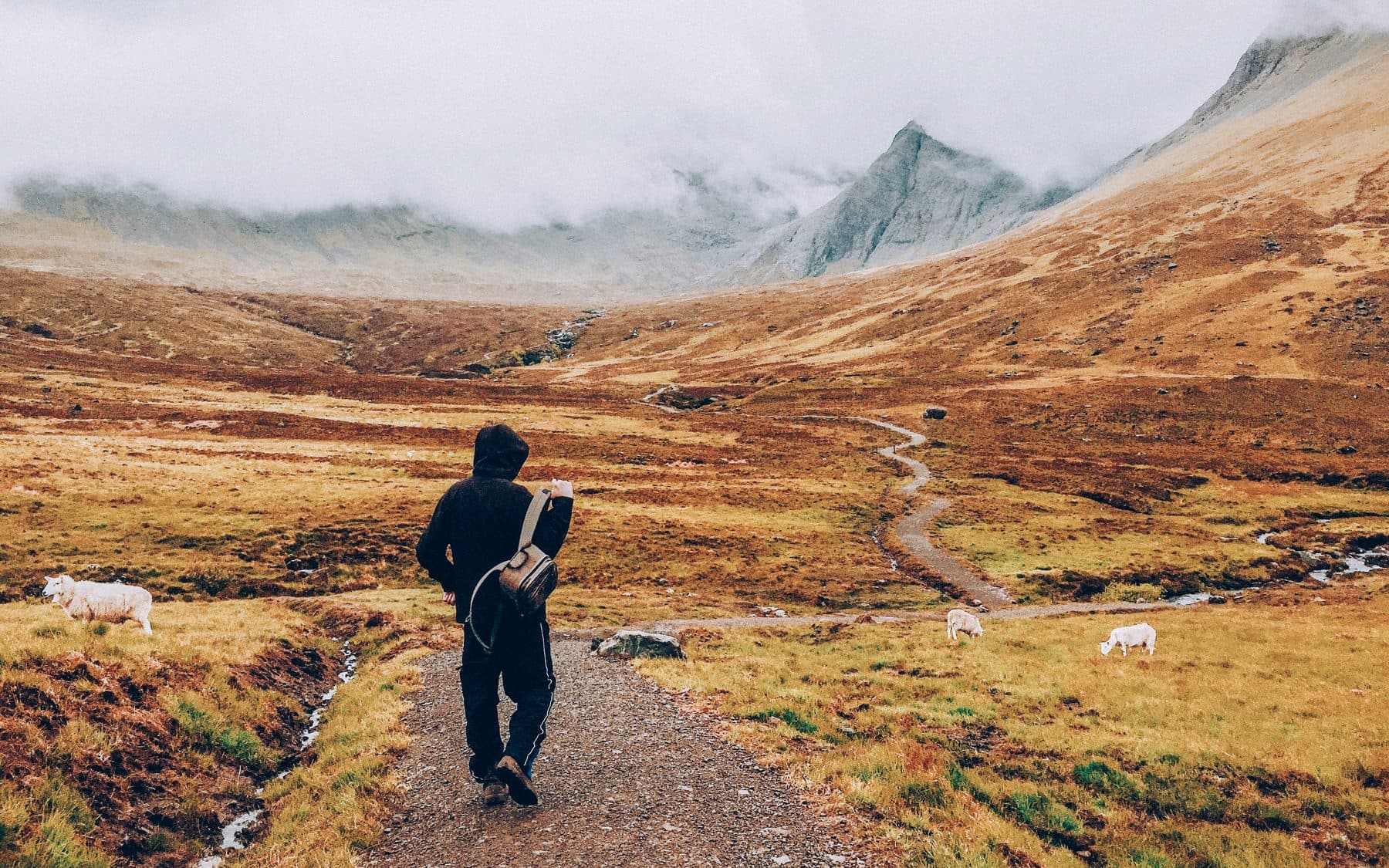 A hiker seen from behind on a valley path